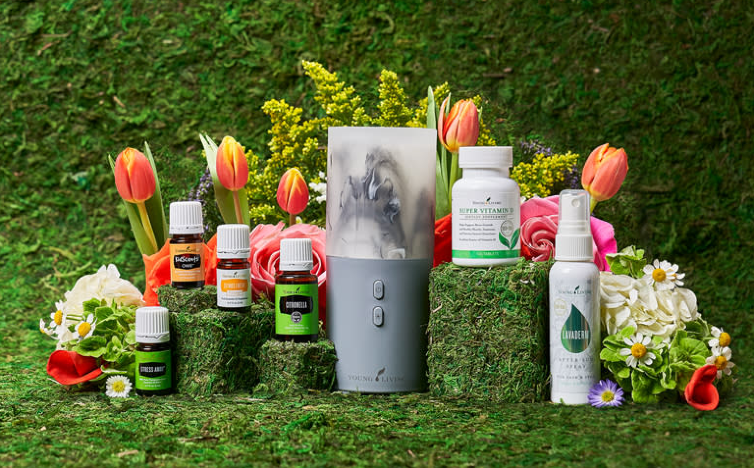 To place an order with Young Living, click the link below to receive a discount. Additional savings when you sign up for auto ship