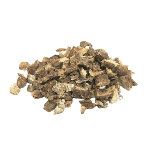 Burdock Root