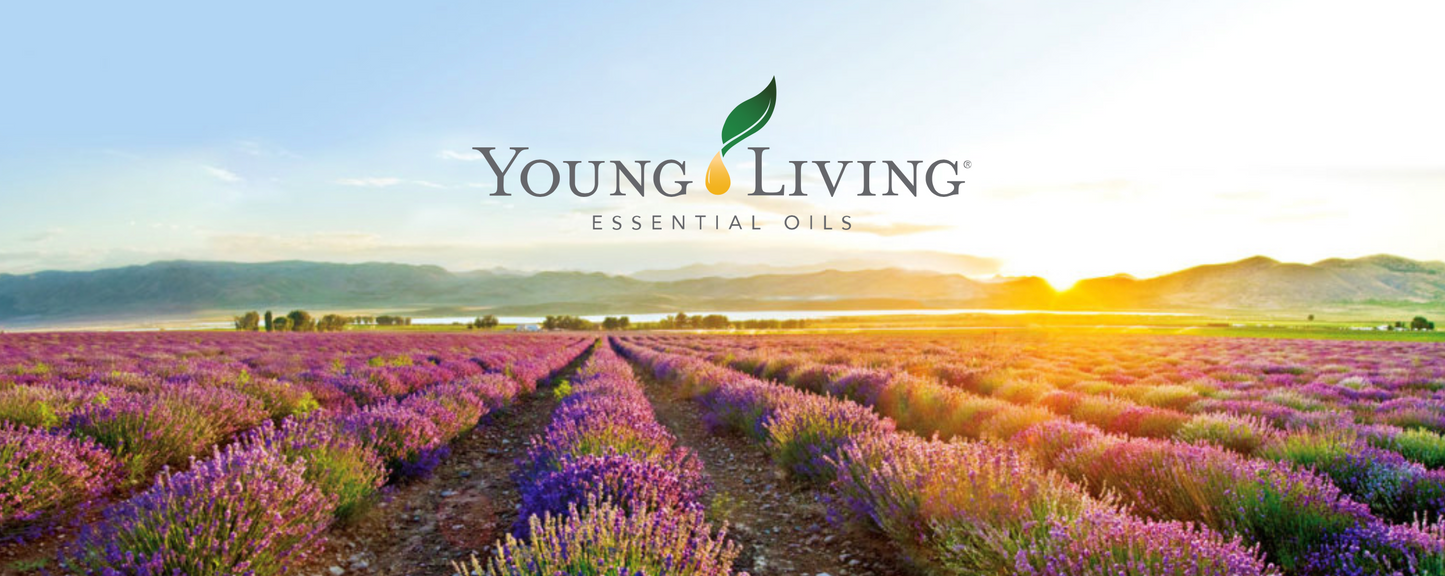 To place an order with Young Living, click the link below to receive a discount. Additional savings when you sign up for auto ship. 