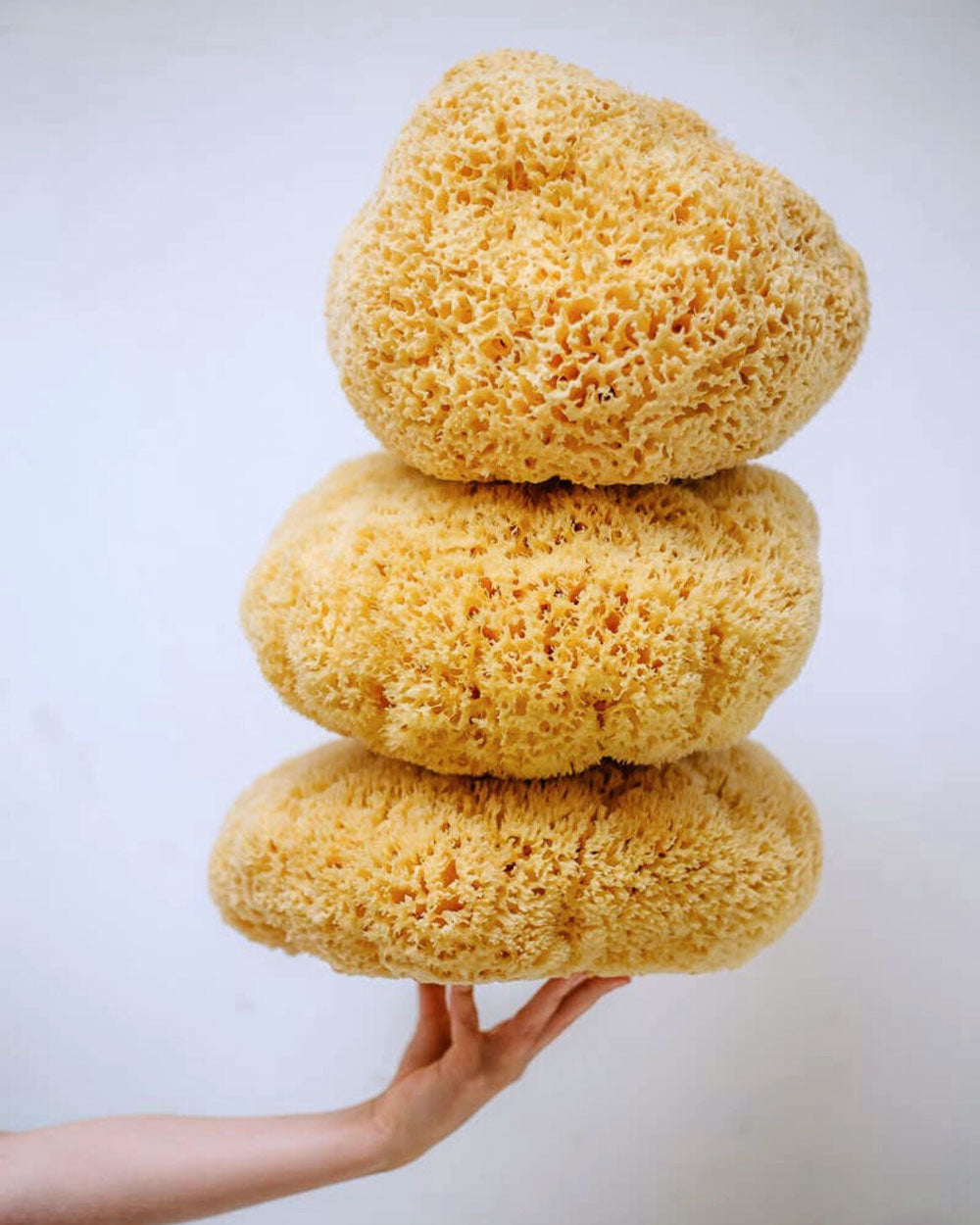 A Natural Sea Sponge is a superior quality sponge; they are the most appropriate sponges for facial, body, and infant care.